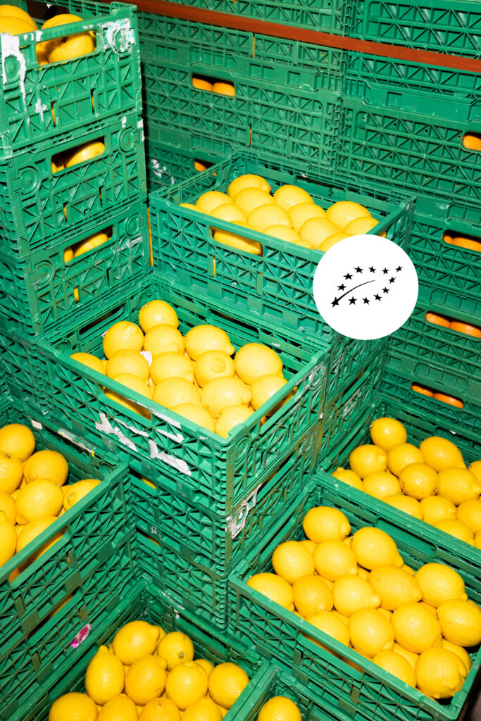 Zitronen von Bananen + Frucht in Bio Qualität mit Bio Zertifikat