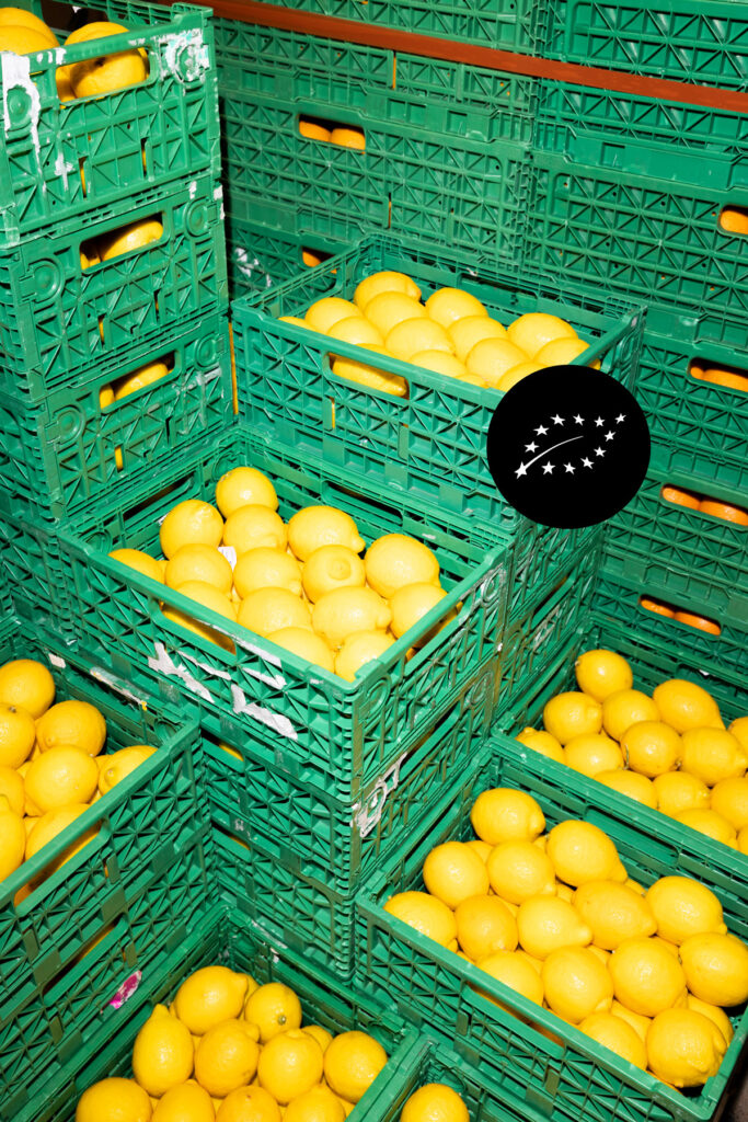 Zitronen von Bananen + Frucht in Bio Qualität